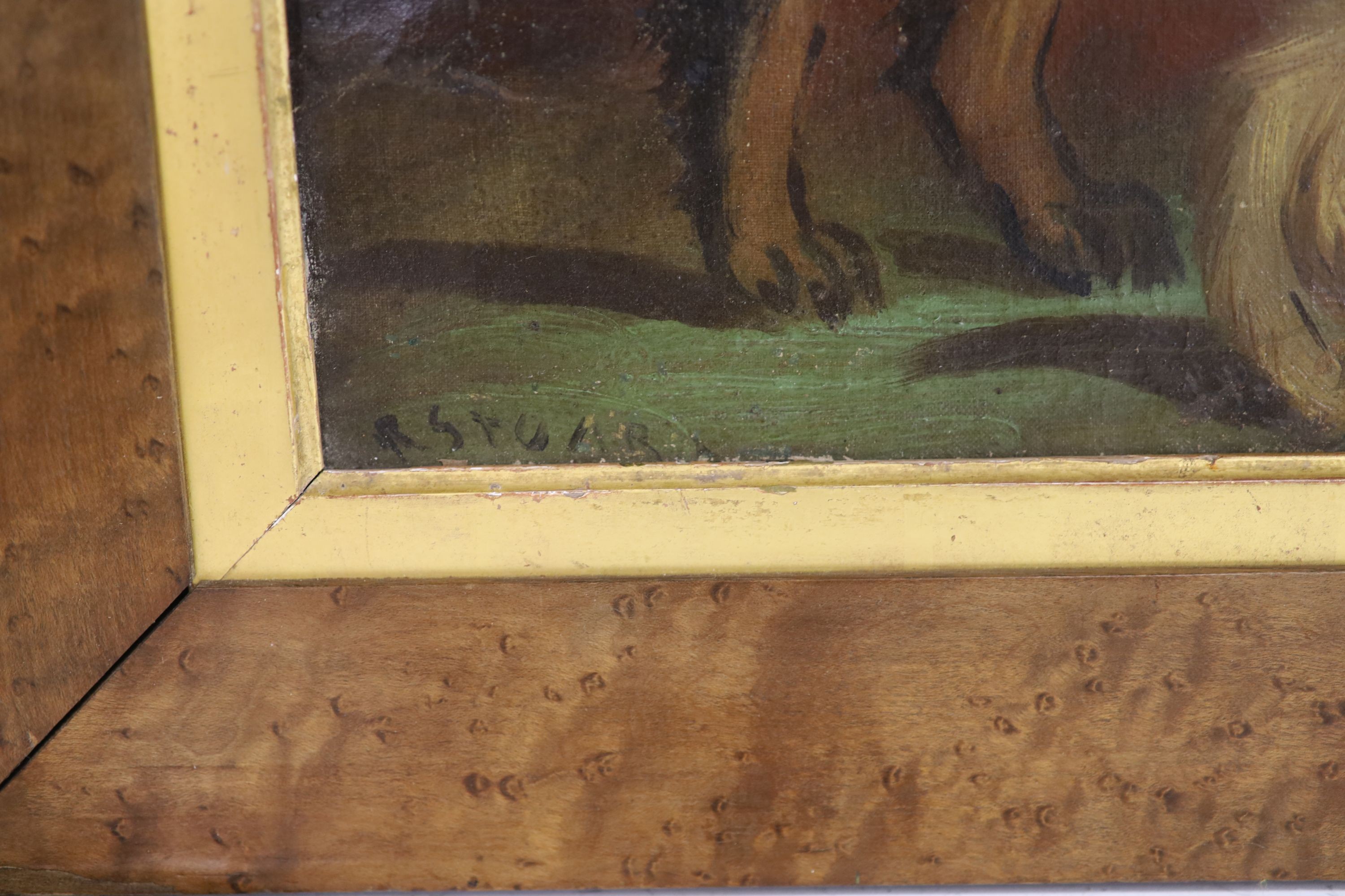 R. Stoar, oil on canvas, Primitive study of two terriers, signed, 31 x 44cm